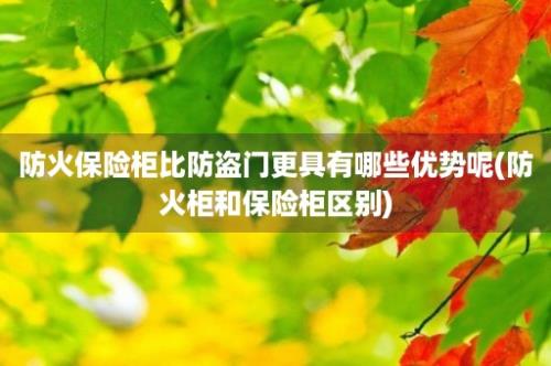 防火保险柜比防盗门更具有哪些优势呢(防火柜和保险柜区别)