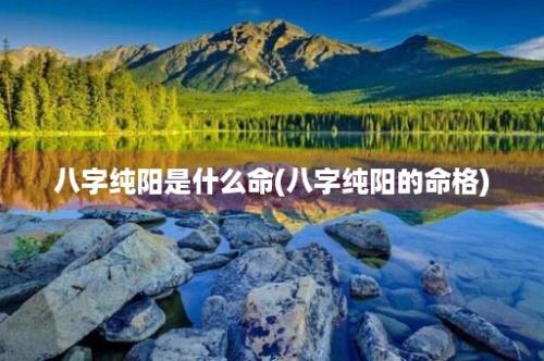 八字纯阳是什么命(八字纯阳的命格)