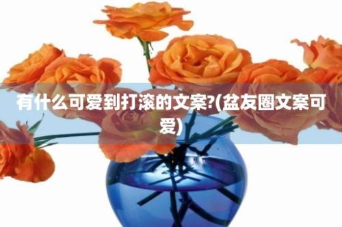 有什么可爱到打滚的文案?(盆友圈文案可爱)