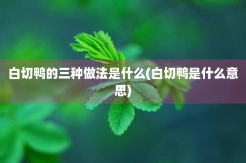 白切鸭的三种做法是什么(白切鸭是什么意思)