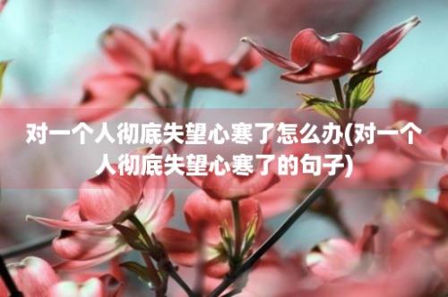 对一个人彻底失望心寒了怎么办(对一个人彻底失望心寒了的句子)