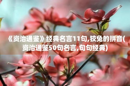 《资治通鉴》经典名言11句,狡兔的拼音(资治通鉴50句名言,句句经典)