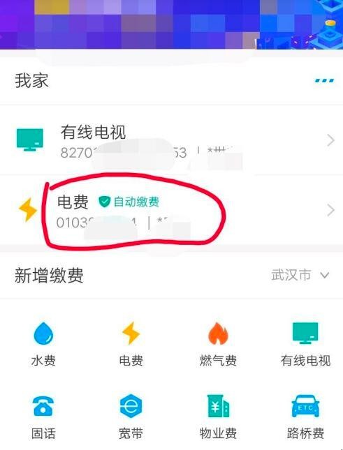 支付宝如何查询电费明细