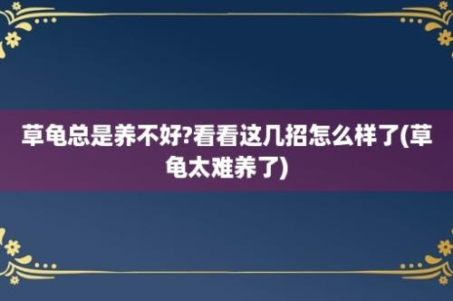 草龟总是养不好?看看这几招怎么样了(草龟太难养了)