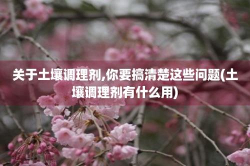 关于土壤调理剂,你要搞清楚这些问题(土壤调理剂有什么用)