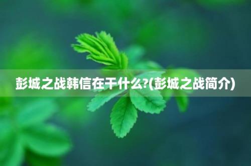 彭城之战韩信在干什么?(彭城之战简介)