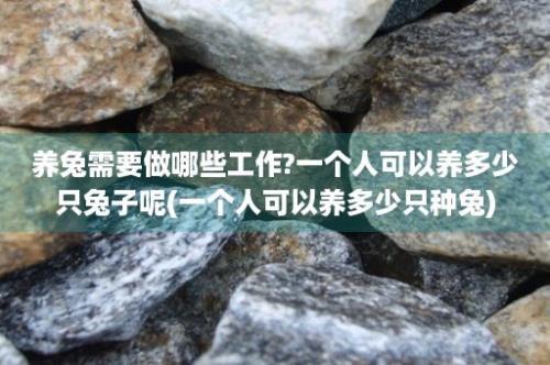 养兔需要做哪些工作?一个人可以养多少只兔子呢(一个人可以养多少只种兔)