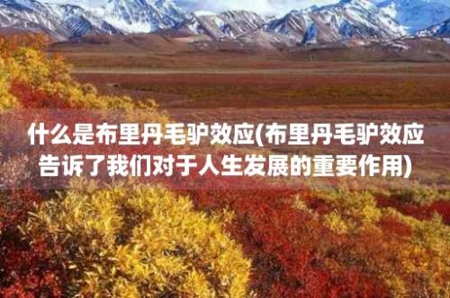 什么是布里丹毛驴效应(布里丹毛驴效应告诉了我们对于人生发展的重要作用)