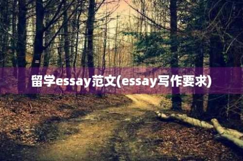 留学essay范文(essay写作要求)