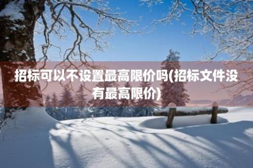 招标可以不设置最高限价吗(招标文件没有最高限价)