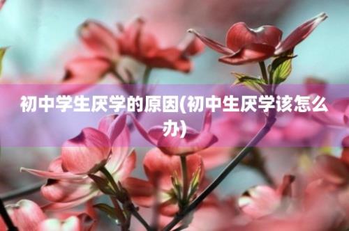 初中学生厌学的原因(初中生厌学该怎么办)