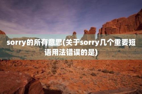 sorry的所有意思(关于sorry几个重要短语用法错误的是)