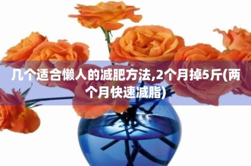 几个适合懒人的减肥方法,2个月掉5斤(两个月快速减脂)