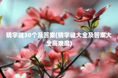 猜字谜30个及答案(猜字谜大全及答案大全高难度)