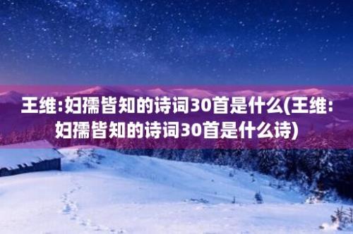 王维:妇孺皆知的诗词30首是什么(王维:妇孺皆知的诗词30首是什么诗)