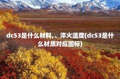 dc53是什么材料,、淬火温度(dc53是什么材质对应国标)