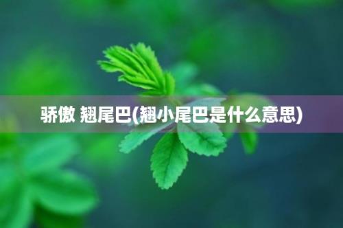 骄傲 翘尾巴(翘小尾巴是什么意思)