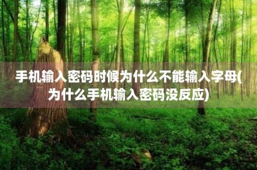 手机输入密码时候为什么不能输入字母(为什么手机输入密码没反应)