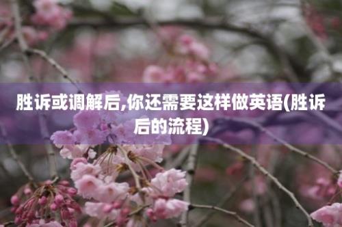 胜诉或调解后,你还需要这样做英语(胜诉后的流程)