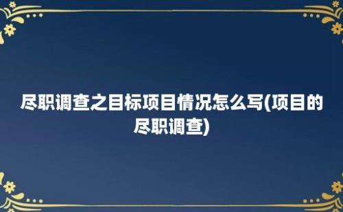 尽职调查之目标项目情况怎么写(项目的尽职调查)