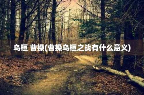 乌桓 曹操(曹操乌桓之战有什么意义)