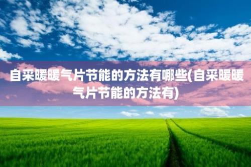 自采暖暖气片节能的方法有哪些(自采暖暖气片节能的方法有)