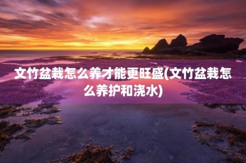 文竹盆栽怎么养才能更旺盛(文竹盆栽怎么养护和浇水)