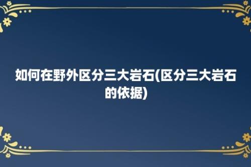 如何在野外区分三大岩石(区分三大岩石的依据)