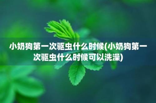 小奶狗第一次驱虫什么时候(小奶狗第一次驱虫什么时候可以洗澡)