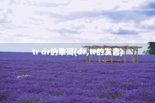 tr dr的单词(dr,tr的发音)