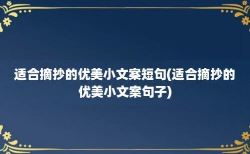 适合摘抄的优美小文案短句(适合摘抄的优美小文案句子)