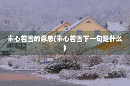 素心若雪的意思(素心若雪下一句是什么)