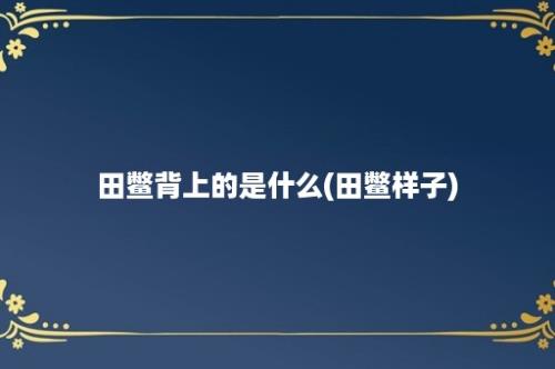 田鳖背上的是什么(田鳖样子)