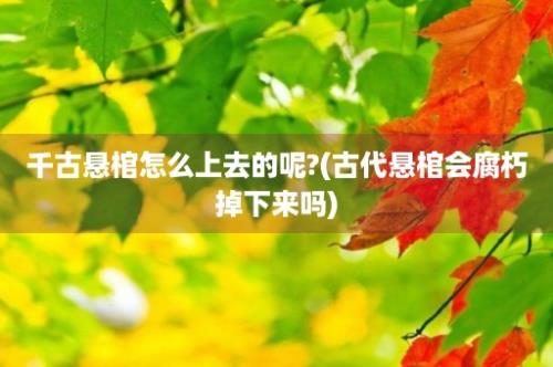 千古悬棺怎么上去的呢?(古代悬棺会腐朽掉下来吗)