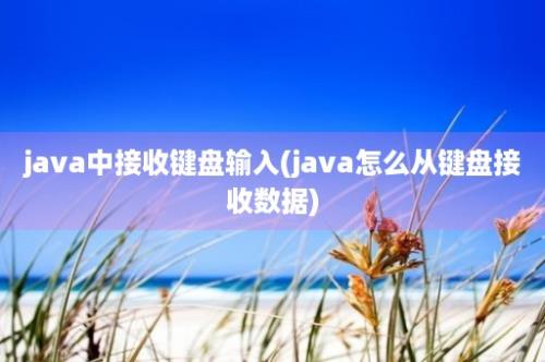 java中接收键盘输入(java怎么从键盘接收数据)