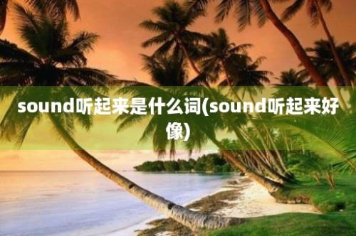 sound听起来是什么词(sound听起来好像)