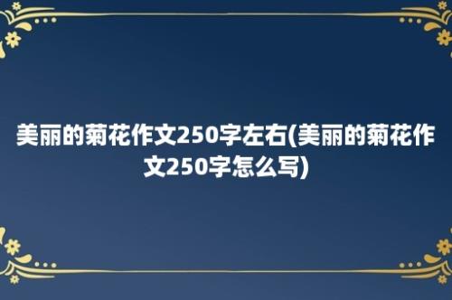 美丽的菊花作文250字左右(美丽的菊花作文250字怎么写)