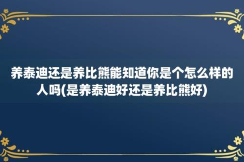 养泰迪还是养比熊能知道你是个怎么样的人吗(是养泰迪好还是养比熊好)