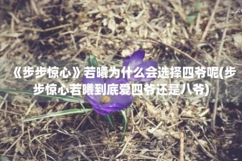 《步步惊心》若曦为什么会选择四爷呢(步步惊心若曦到底爱四爷还是八爷)