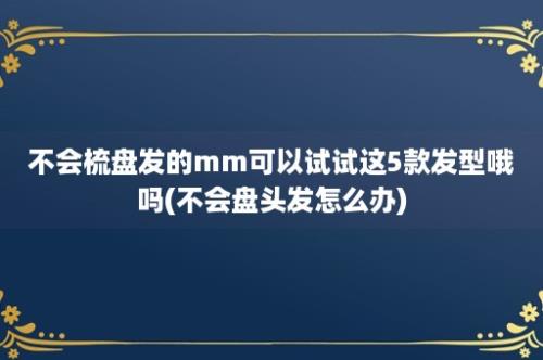 不会梳盘发的mm可以试试这5款发型哦吗(不会盘头发怎么办)