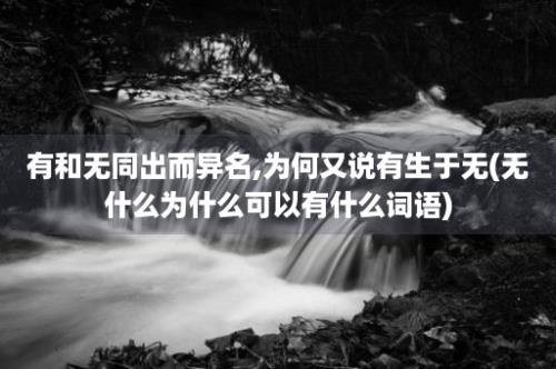 有和无同出而异名,为何又说有生于无(无什么为什么可以有什么词语)