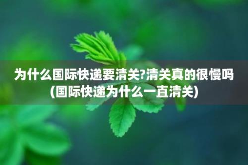 为什么国际快递要清关?清关真的很慢吗(国际快递为什么一直清关)