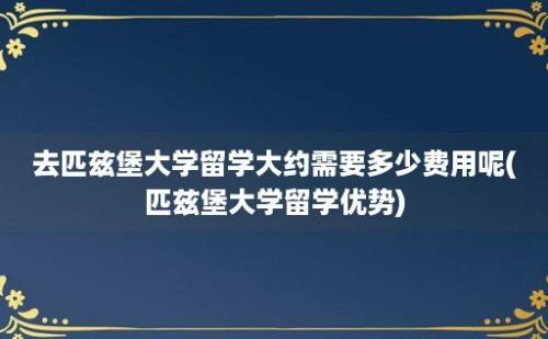 去匹兹堡大学留学大约需要多少费用呢(匹兹堡大学留学优势)