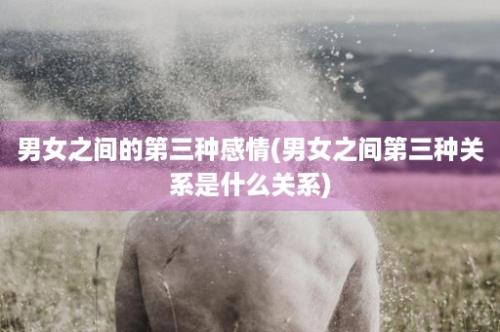 男女之间的第三种感情(男女之间第三种关系是什么关系)