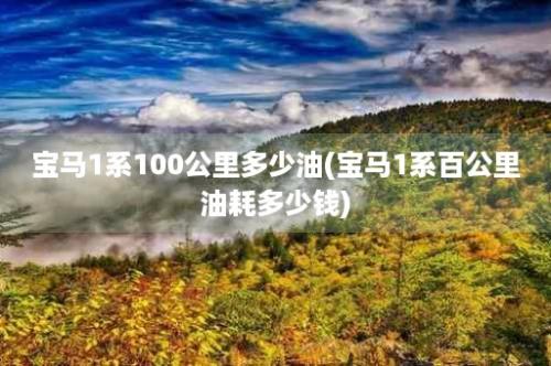 宝马1系100公里多少油(宝马1系百公里油耗多少钱)