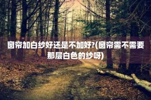 窗帘加白纱好还是不加好?(窗帘需不需要那层白色的纱呀)