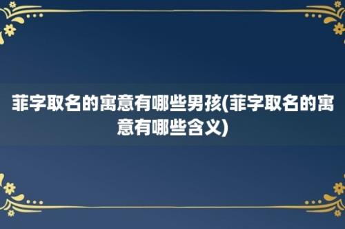 菲字取名的寓意有哪些男孩(菲字取名的寓意有哪些含义)