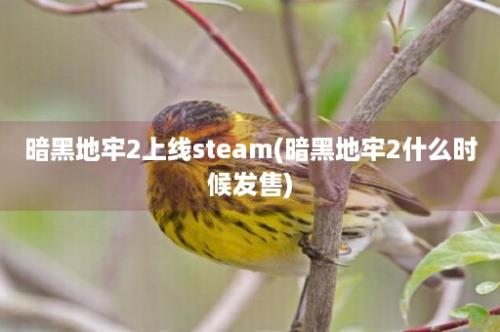 暗黑地牢2上线steam(暗黑地牢2什么时候发售)