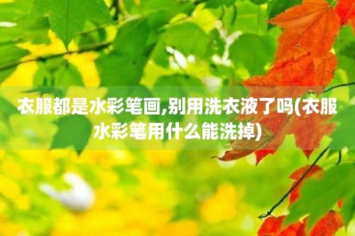 衣服都是水彩笔画,别用洗衣液了吗(衣服水彩笔用什么能洗掉)