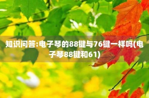 知识问答:电子琴的88键与76键一样吗(电子琴88键和61)